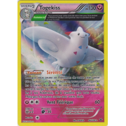 XY6_46/108 Togekiss Holo Rare