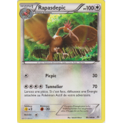 XY6_66/108 Rapasdepic Peu commune