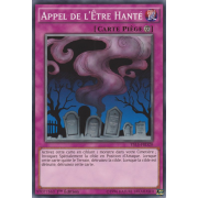 YS15-FRD20 Appel de l'Être Hanté Commune