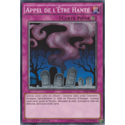 YS15-FRY19 Appel de l'Être Hanté Commune