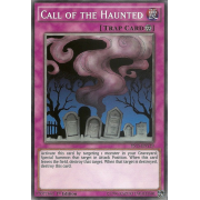 YS15-ENY19 Call of the Haunted Commune