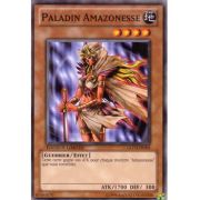 GLD3-FR004 Paladin Amazonesse Commune