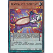 SP15-FR021 Trampolynx Potartiste Commune