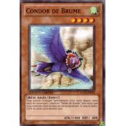 GLD3-FR032 Condor de Brume Commune