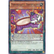 Performapal Trampolynx