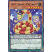 Performapal Partnaga