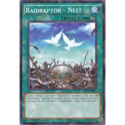 Raidraptor - Nest