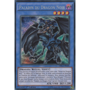 DRL2-FR018 Paladin du Dragon Noir Secret Rare