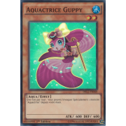 DRL2-FR040 Aquactrice Guppy Super Rare