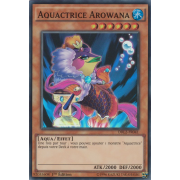 DRL2-FR041 Aquactrice Arowana Super Rare