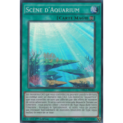 DRL2-FR042 Scène d'Aquarium Super Rare