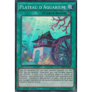 DRL2-FR043 Plateau d'Aquarium Super Rare