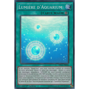 DRL2-FR044 Lumière d'Aquarium Super Rare