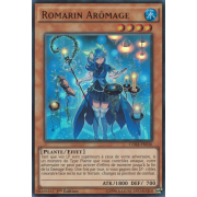 CORE-FR036 Romarin Arômage Ultra Rare