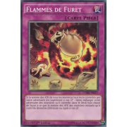 CORE-FR077 Flammes de Furet Commune