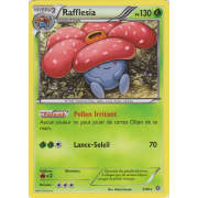 XY7_3/98 Rafflesia Rare