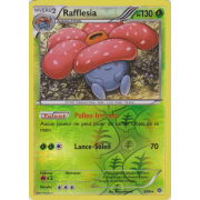 Rafflesia