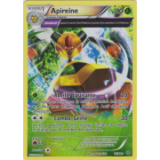 XY7_11/98 Apireine Inverse