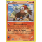 XY7_14/98 Entei Rare