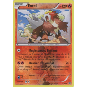 XY7_14/98 Entei Inverse