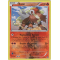 XY7_14/98 Entei Inverse