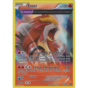 XY7_15/98 Entei Holo Rare