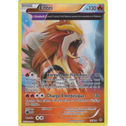 XY7_15/98 Entei Inverse