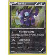 XY7_44/98 T&eacute;n&eacute;fix Inverse