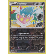 XY7_45/98 Sepiatop Inverse