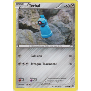 XY7_47/98 Terhal Commune