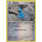 XY7_47/98 Terhal Inverse