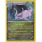 XY7_60/98 Muplodocus Holo Rare