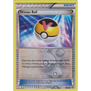 XY7_76/98 Niveau Ball Inverse