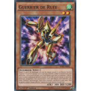 SDSE-FR002 Guerrier de Ruée Commune