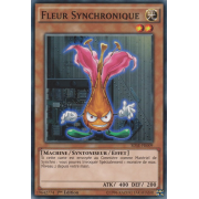 SDSE-FR009 Fleur Synchronique Commune