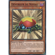 SDSE-FR017 Dévoreur de Niveau Commune