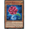 CORE-EN012 Crystal Rose Rare