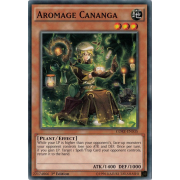 CORE-EN035 Aromage Cananga Commune