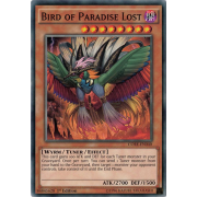 CORE-EN040 Bird of Paradise Lost Commune
