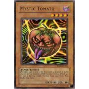 HL03-EN005 Mystic Tomato Holographic Rare