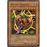 HL03-EN005 Mystic Tomato Holographic Rare