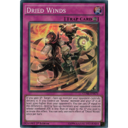 CORE-EN075 Dried Winds Super Rare