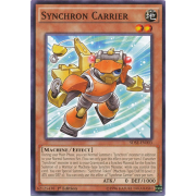 SDSE-EN003 Synchron Carrier Commune