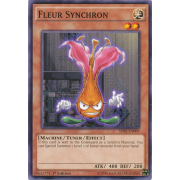 SDSE-EN009 Fleur Synchron Commune