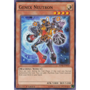 SDSE-EN019 Genex Neutron Commune