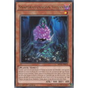 MP15-FR014 Snapdrassinagon Sylvan Rare