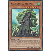 MP15-FR016 Sagequoia Sylvan Ultra Rare