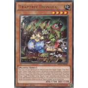 MP15-FR018 Traptrix Dionaea Rare