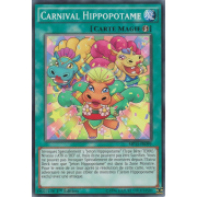 MP15-FR099 Carnival Hippopotame Commune