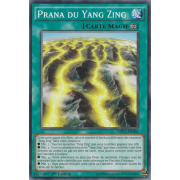 MP15-FR106 Prana du Yang Zing Commune